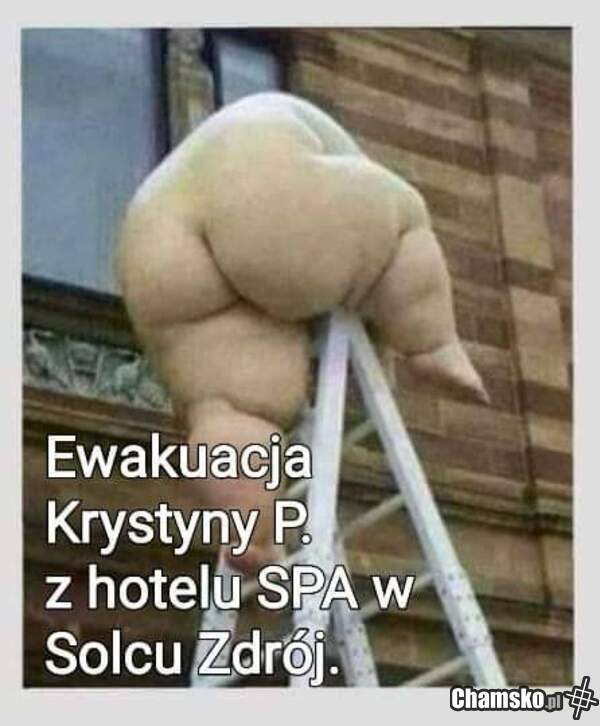 Krysia daje dyla.