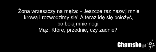 Żona wrzeszczy na męża: - Jeszcze raz nazwij mnie krową i rozwodzimy się! A teraz idę się położyć, bo bolą mnie nogi. Mąż: Które, przednie, czy zadnie?