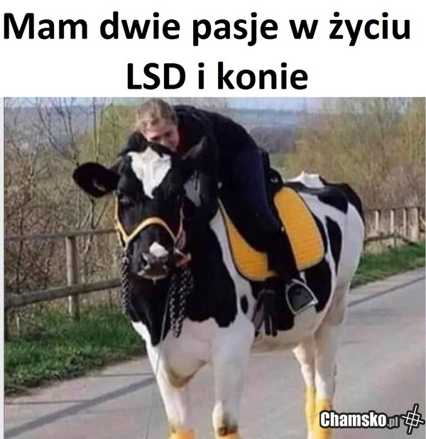 wio! wio!