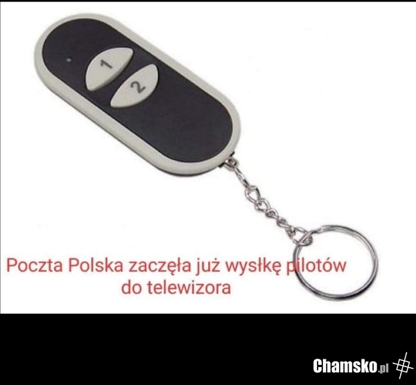 TVP