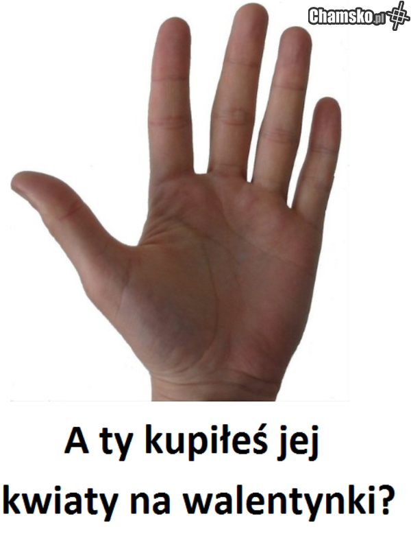 twoja panna