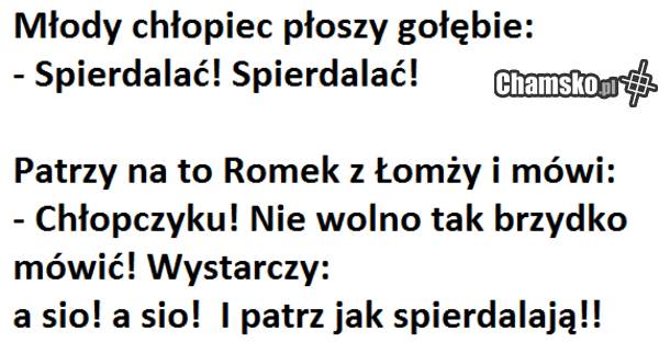 Przygody Romka z Łomży cz. XXXIX