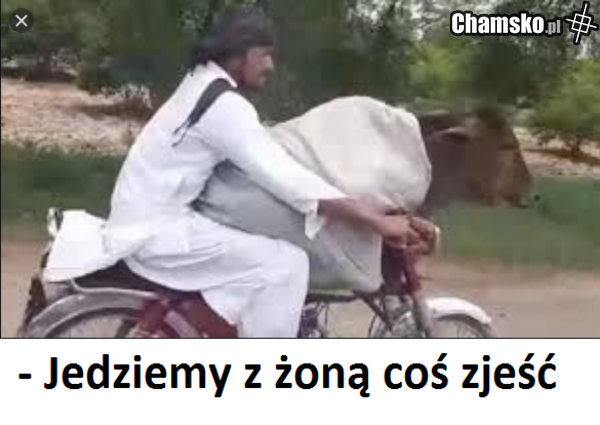 kozojebca