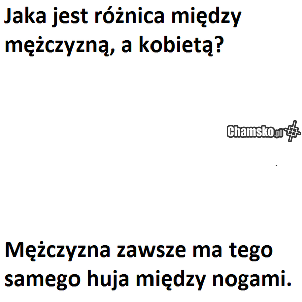 twoja stara