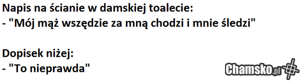 Dziś widziałem