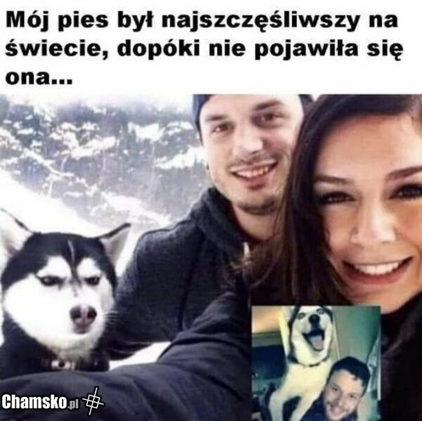 KAŚKA = KURWO
