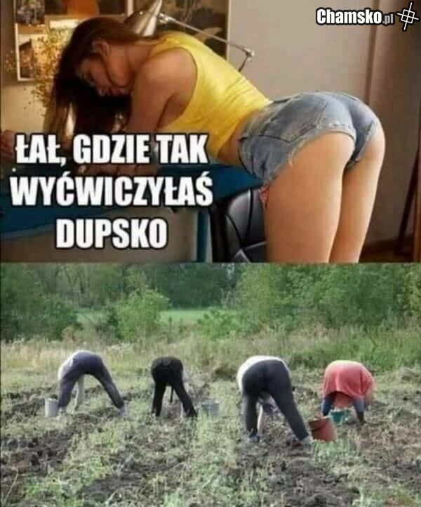 Obrazek