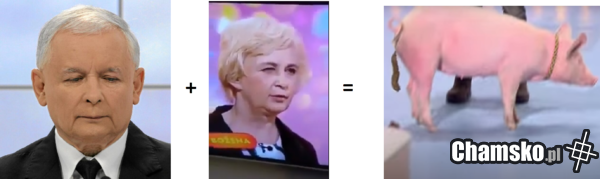 dziecko kurdupla