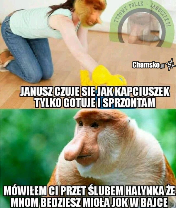 życie jak w bajce
