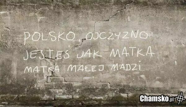 Ojczyzna