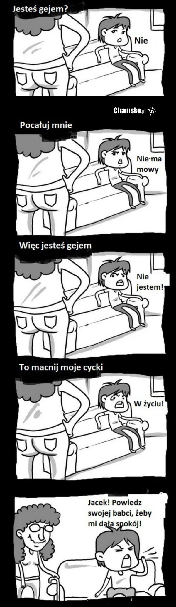 Chyba gej