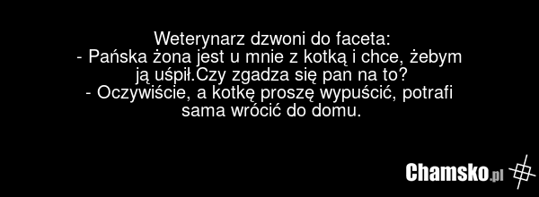 Weterynarz dzwoni do faceta: - Pańska żona jest u mnie z kotką i chce, żebym ją uśpił.Czy zgadza się pan na to? - Oczywiście, a kotkę proszę wypuścić, potrafi sama wrócić do domu.