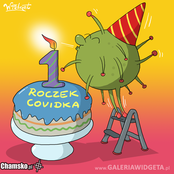 Roczek Covidka