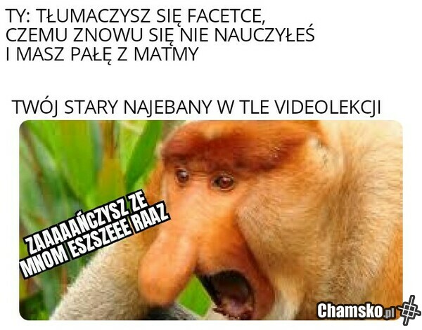 TWÓJ STARY NAEBANY