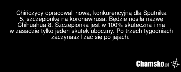 Chińczycy opracowali nową, konkurencyjną dla Sputnika 5, szczepionkę na koronawirusa. Będzie nosiła nazwę Chihuahua 8. Szczepionka jest w 100% skuteczna i ma w zasadzie tylko jeden skutek uboczny. Po trzech tygodniach zaczynasz lizać się po jajach.