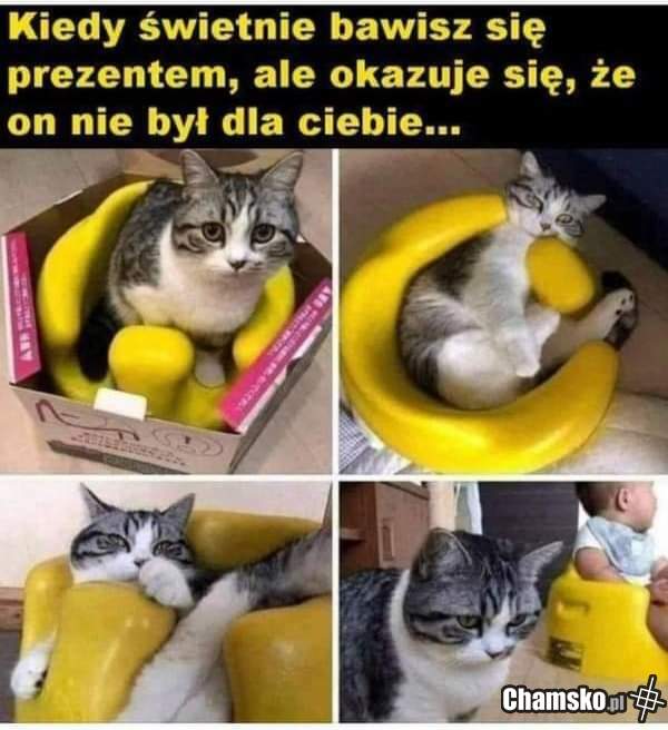 Prezent