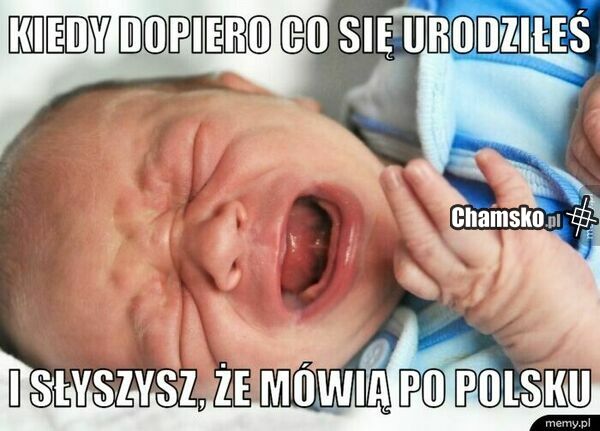 Reinkarnacja