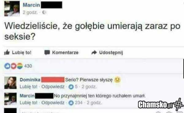 Ciekawostka
