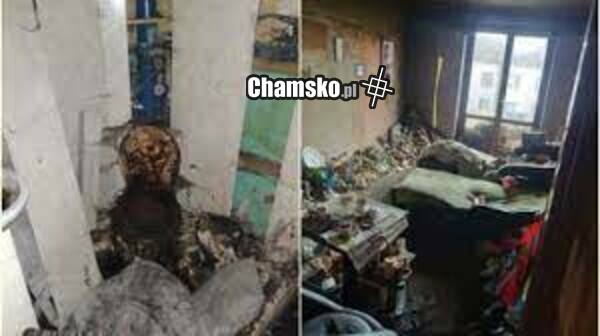 Dom Admina Chamsko.pl