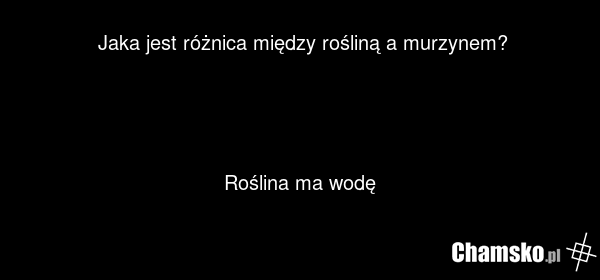 Jaka jest różnica między rośliną a murzynem? Roślina ma wodę