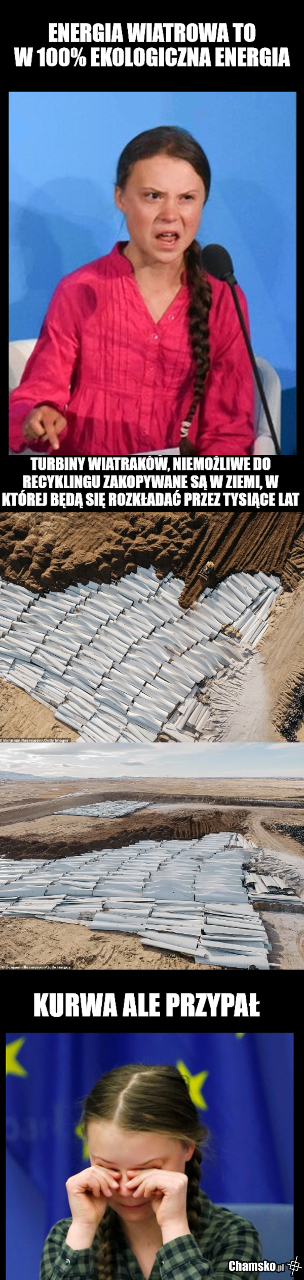 ekologia