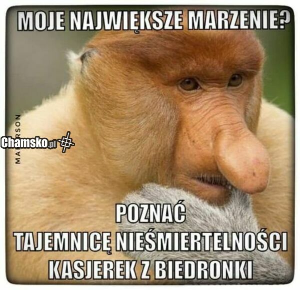 Pracownicy marketów nieśmiertelni