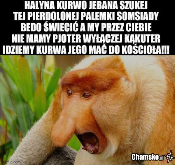 Dawaj Palmę