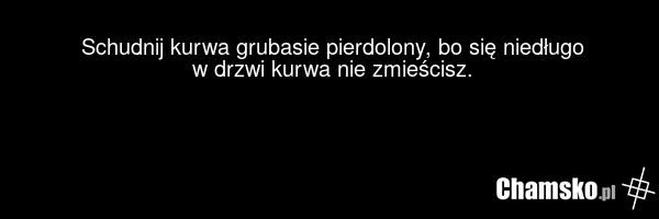Schudnij kurwa grubasie pierdolony, bo się niedługo w drzwi kurwa nie zmieścisz.