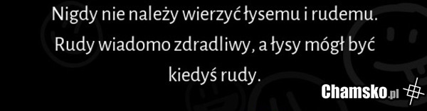 Łysy i rudy