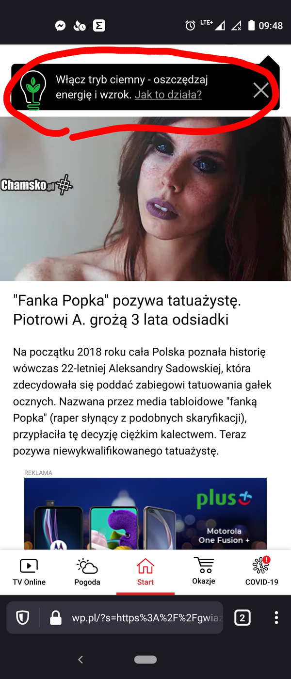 Genialna porada do artykułu