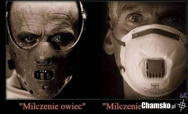 Wirus czy nie trudno się nie zgodzić