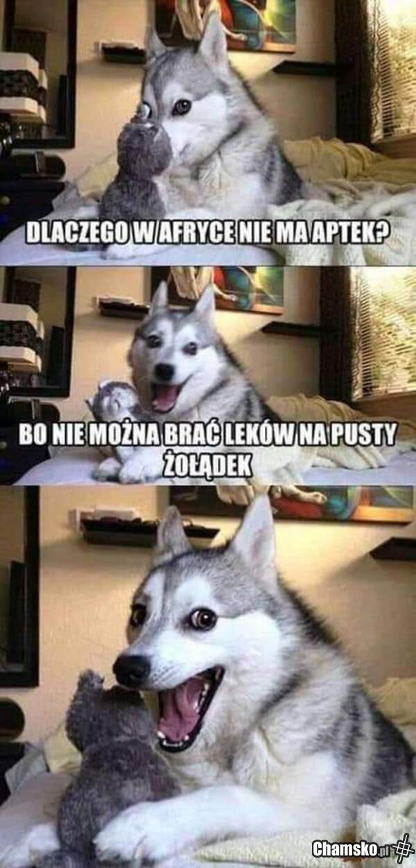 Zagadka dnia