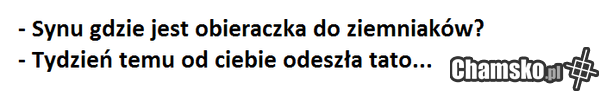 twoja stara