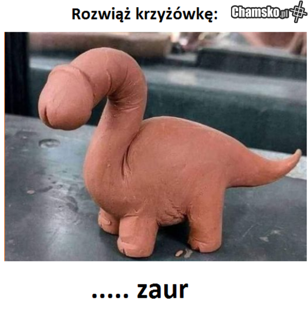 Nagroda: ruchanie admina chamsko.pl