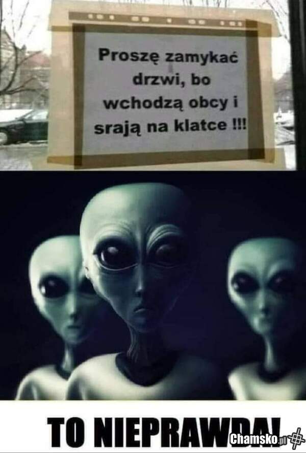 Kto nasrał?
