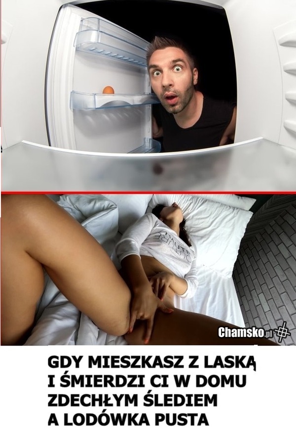 ZDECHŁY ŚLEDŹ
