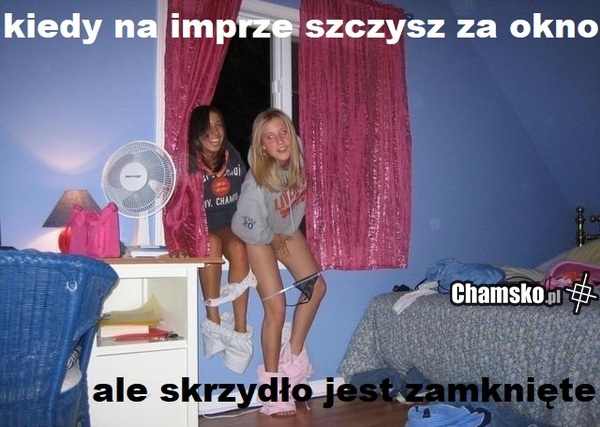 kiedy do kibla kolejka