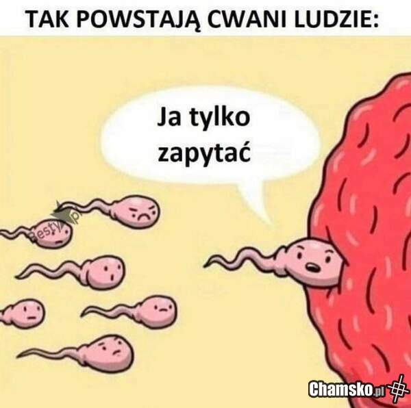 Jest tu jakiś cwaniak?