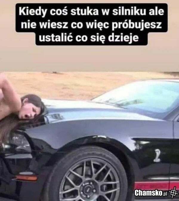twoja żona - mechanik