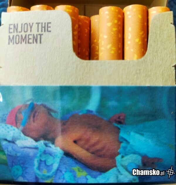 Enjoy The Moment