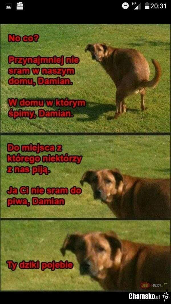 Otrząśnij się Damian.