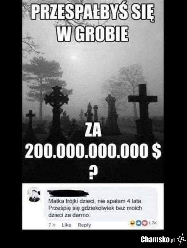 Cena nie gra roli