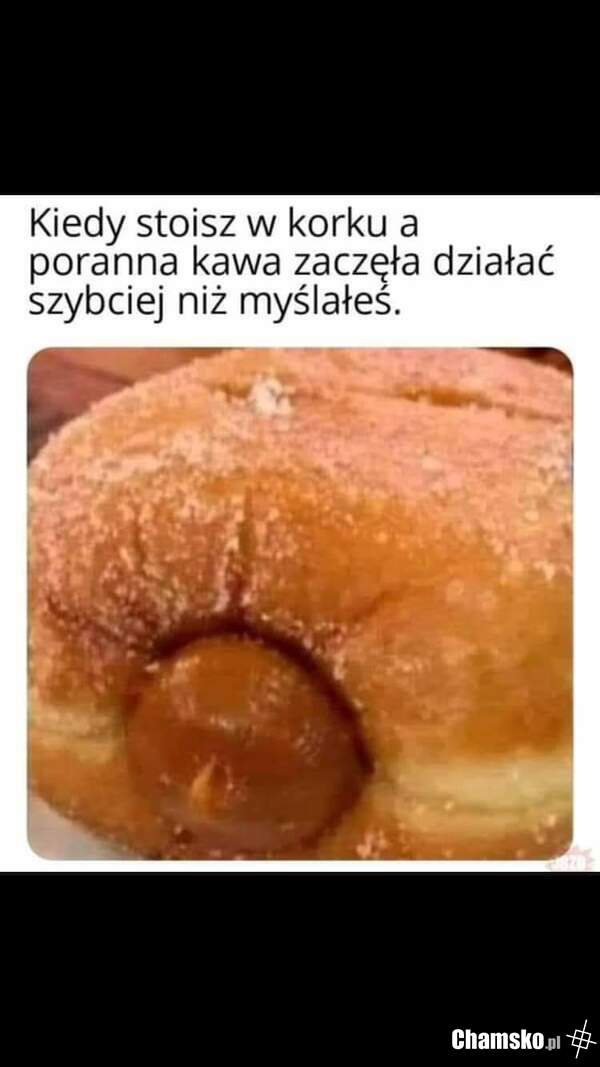 Krecik ryje