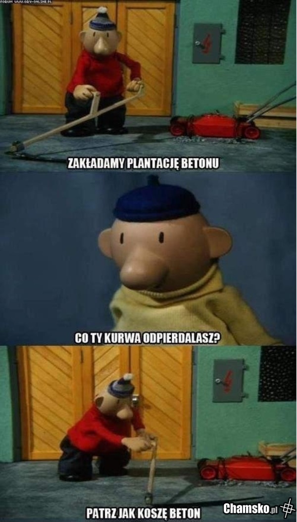 Co ty....