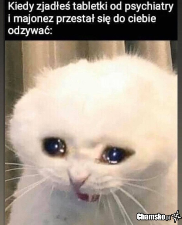 : [