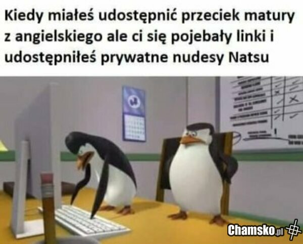 Pomyłka