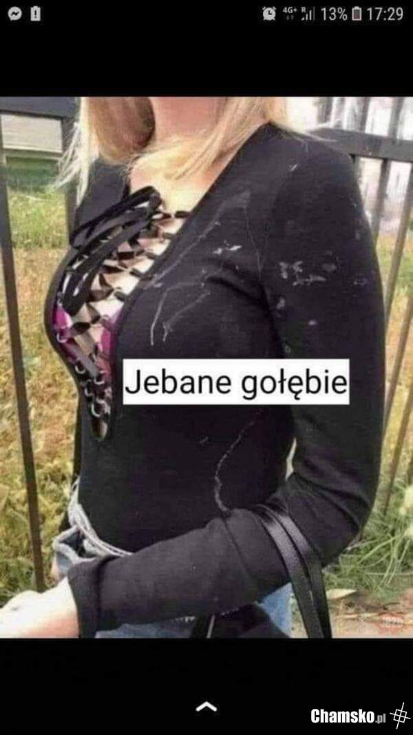Gdzie ten gołomp?