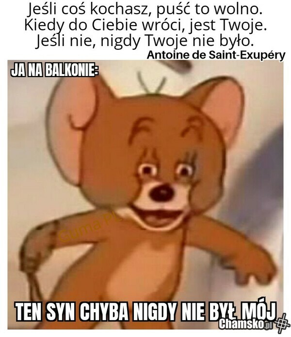 Test na ojcostwo