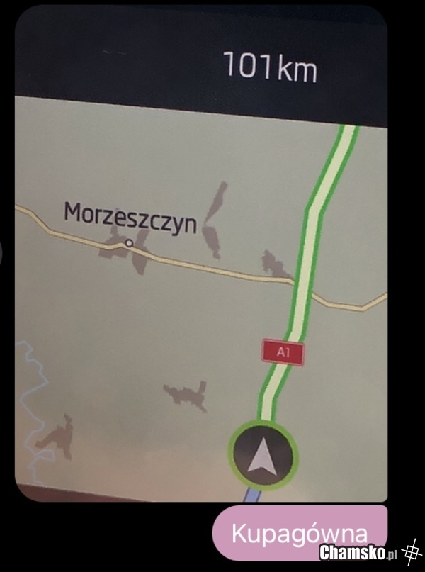 Wiadrorzygów