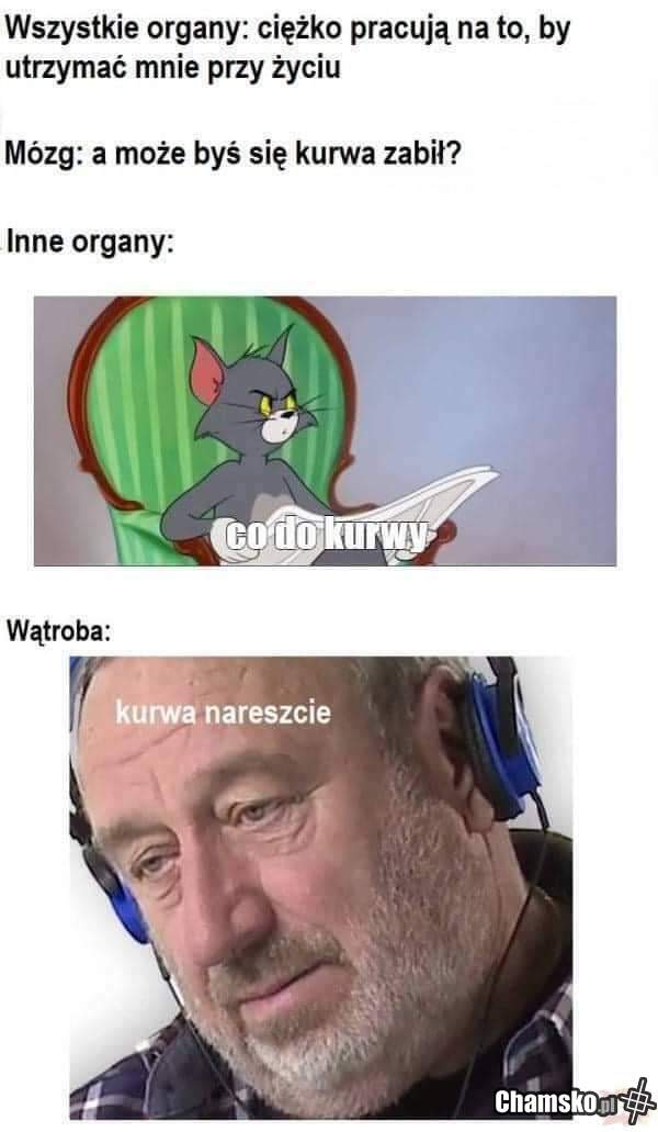 Samobójstwo
